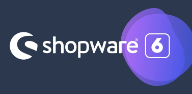 Post image for Shopware v6 Interview