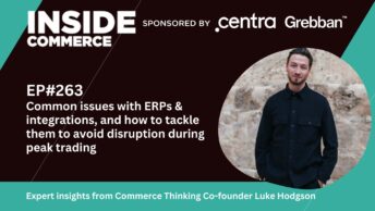 Podcast discussing how to avoid common issues with ERPs for ecommerce teams